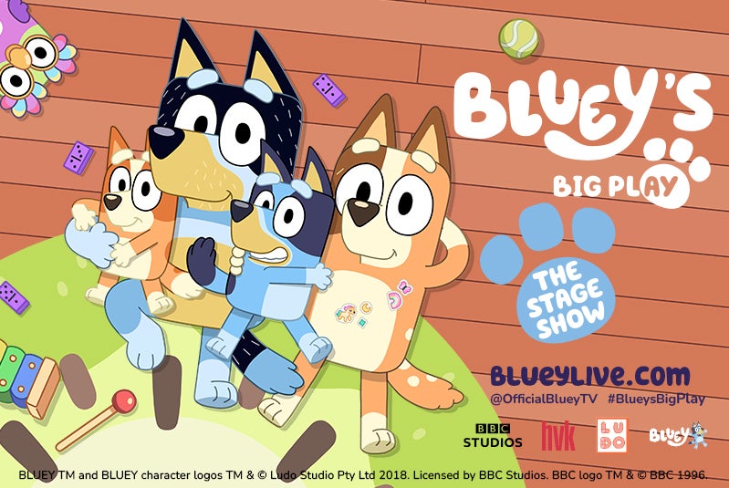 More Info for Bluey's Big Play