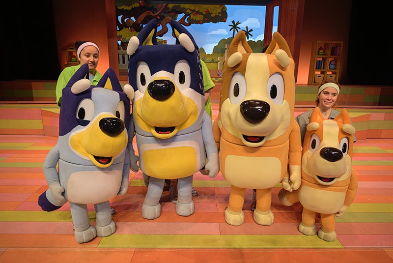 More Info for Bluey's Big Play