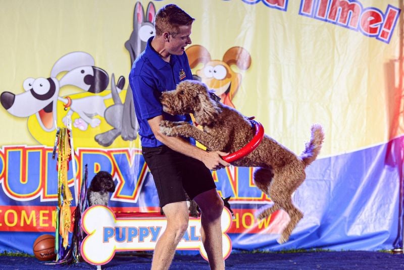 More Info for "Paws"itive Family Fun On February 12