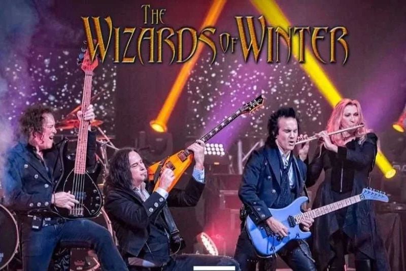 More Info for The Wizards of Winter