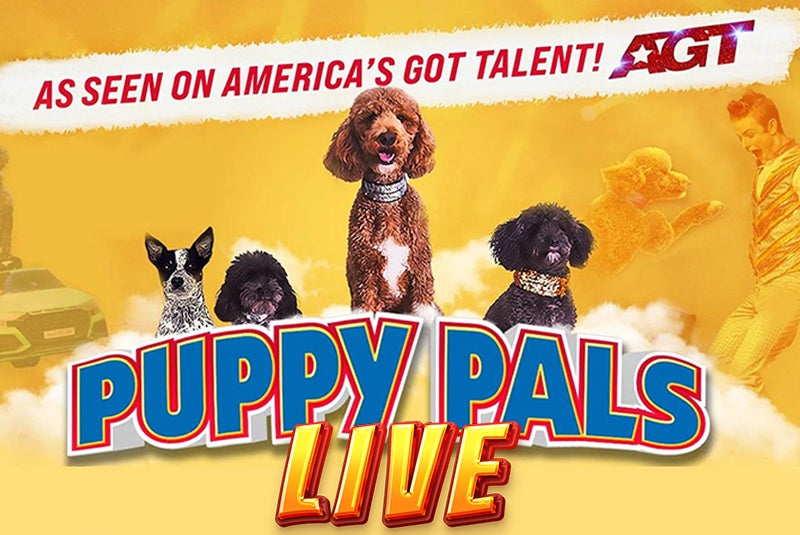 Announcing Family Fun this Fall at the Niswonger